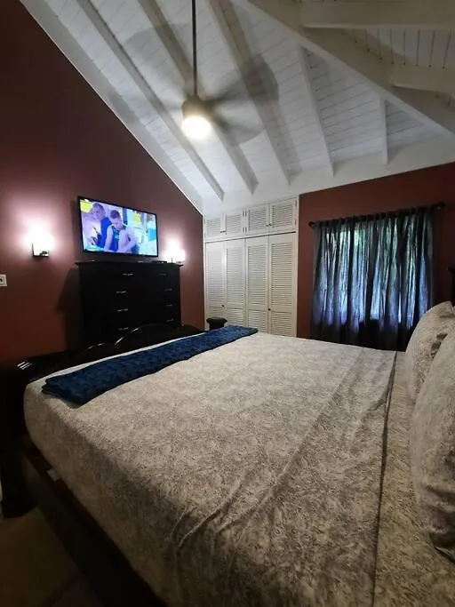 The Palms-Clearwater Blue Getaway Villa Banks Jamaica